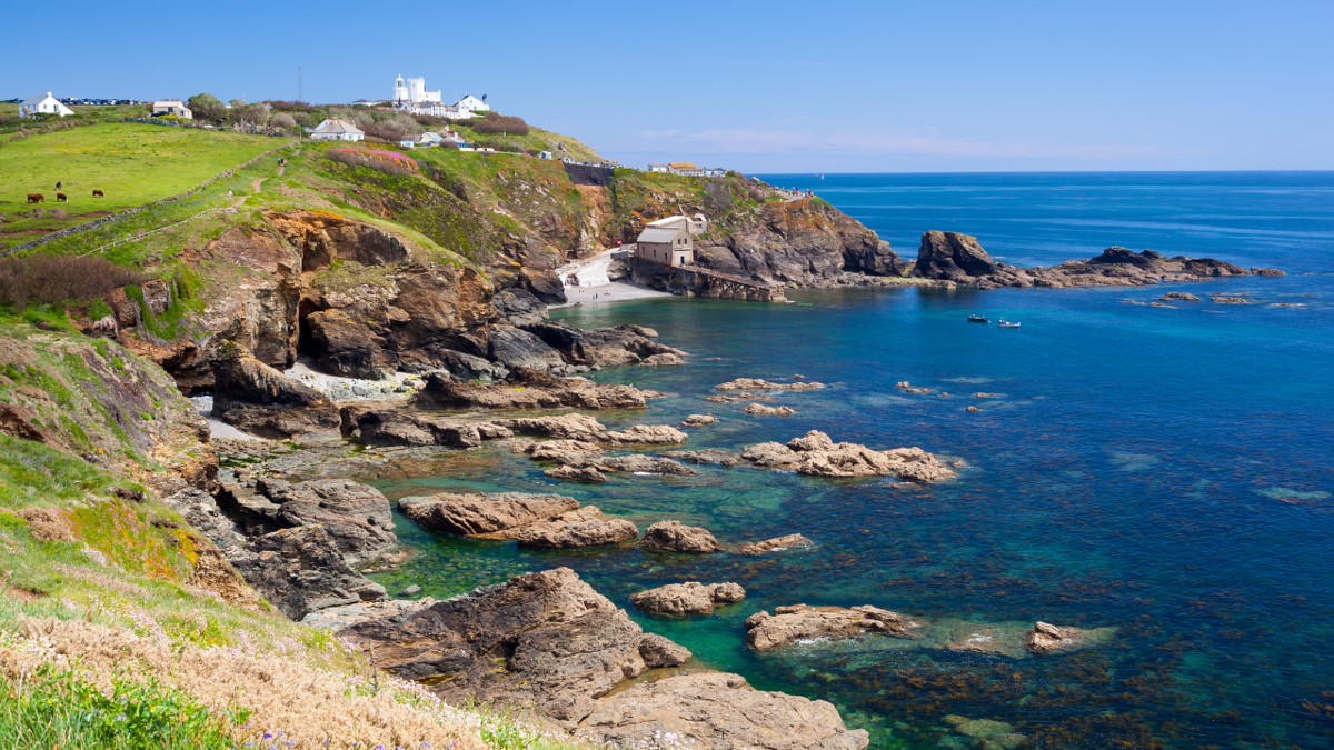 Ramblers Lizard Peninsula