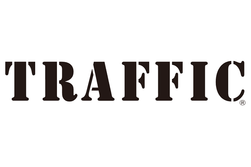 Traffic Logo